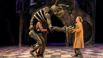 Chichester Festival Theatre: Beauty and the Beast Trailer