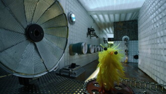 Chick Wash Trailer