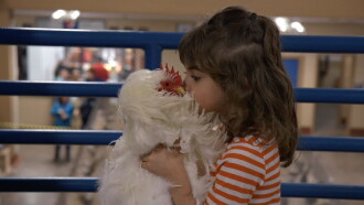 Chicken People Trailer