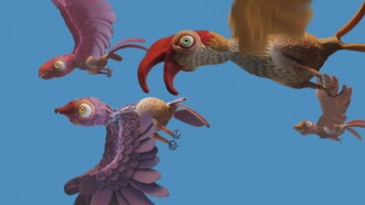 Chickens Trailer