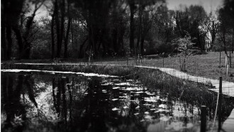 Childhood Tales Trailer