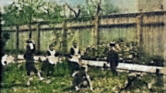 Children Playing in the Garden Trailer