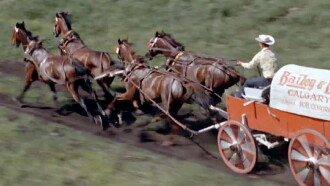 Chuckwagon Trailer