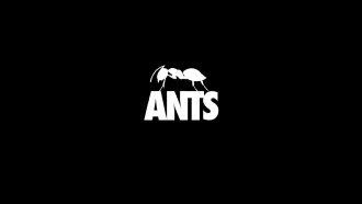 City Of Ants Trailer