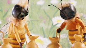 City of Honey Masters Trailer
