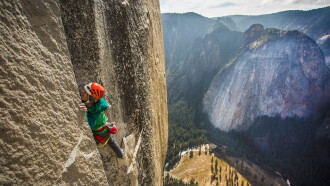 Climbing the Nose Trailer