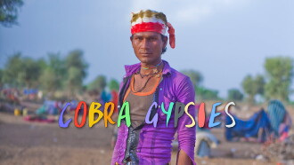 Cobra Gypsies Trailer