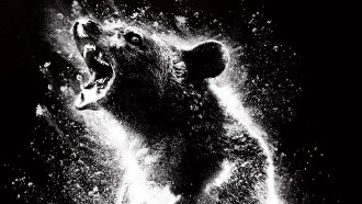 Cocaine Bear Trailer
