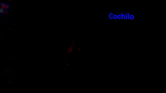 Cochilo Trailer