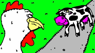 Cock-A-Doodle-Doo Trailer