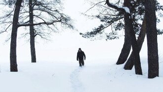Cold Trailer