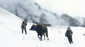Cold of Kalandar Trailer