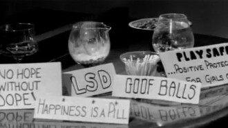 College Girls Trailer