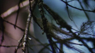 Concerto for Water, Sun and Wilderness Trailer