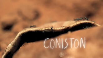 Coniston Trailer
