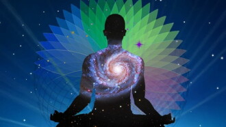 Conscious: Fulfilling Our Higher Evolutionary Potential Trailer
