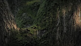 Conversation with Nature Trailer