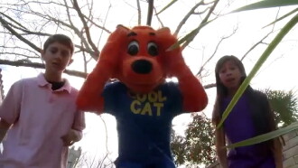 Cool Cat Finds a Gun Trailer