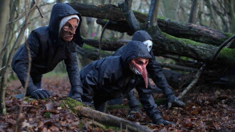 Corvidae Trailer
