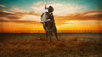 Cowboy & Indiana Trailer