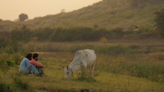 Cowmedy Trailer