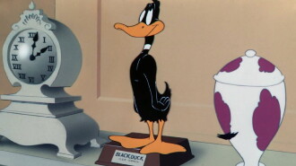 Cracked Quack Trailer