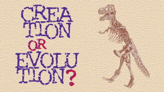 Creation or Evolution? Trailer