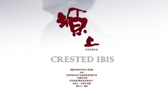 Crested Ibis Trailer