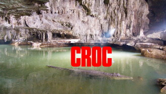 Croc Trailer
