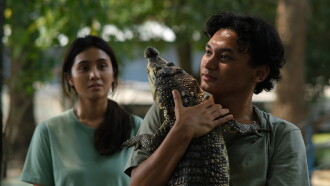 Crocodile Tears Trailer
