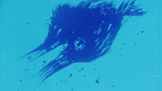Crow Trailer