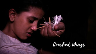 Crushed Wings Trailer