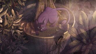 Crystal Iris Trailer