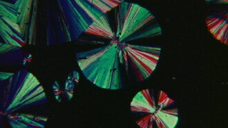Crystallization Trailer