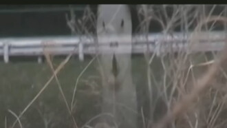 Cursed Psychic Video XXX 7 Trailer