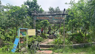 Curta Agrofloresta do Cocotá Trailer