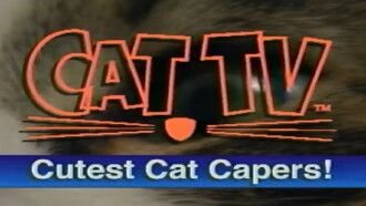 Cutest Cat Capers Trailer
