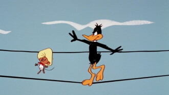 Daffy Rents Trailer