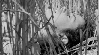 Dandelions Trailer