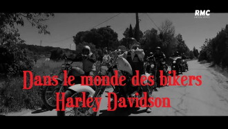 Dans le monde des bikers Harley Davidson Trailer
