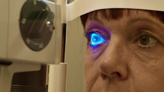 Das Auge - Forschung sehen Trailer