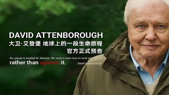 David Attenborough: A Life on Earth Trailer