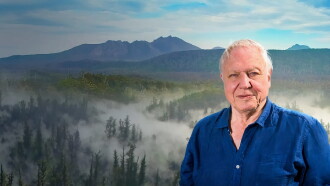 David Attenborough's Tasmania Trailer
