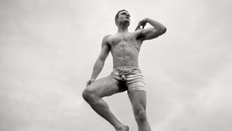 David, In Brief Trailer