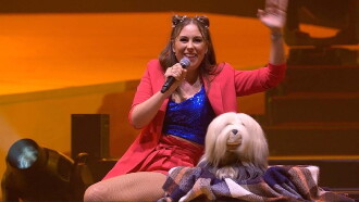 De Grote Sinterklaasshow Trailer