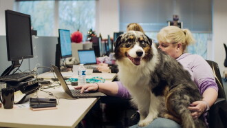 De kantoorhond Trailer