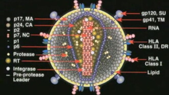 Deconstructing the Myth of Aids Trailer
