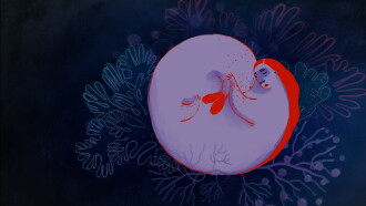 Deep Water Trailer