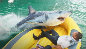 Deep Water Trailer