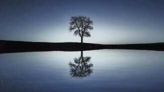 Deepak Chopra: Secrets of Enlightenment Trailer